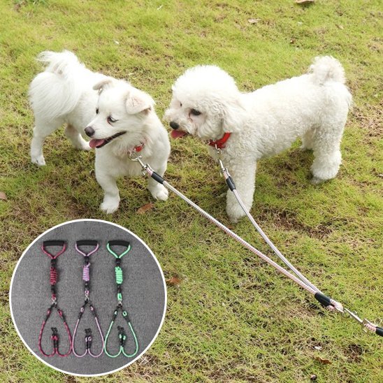 Laisse double pour chien | Sécurité & Confort - La Maison Ideale Des Chiens