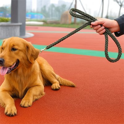 Laisse pour Chien | ComfortFlex - La Maison Ideale Des Chiens