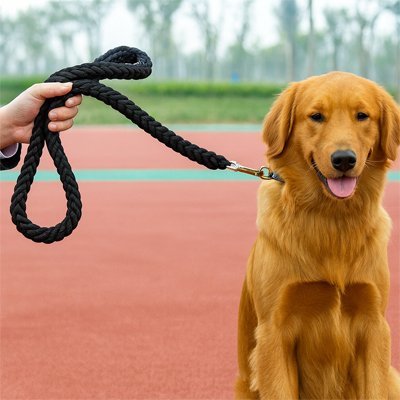 Laisse pour Chien | ComfortFlex - La Maison Ideale Des Chiens