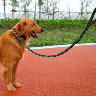 Laisse pour Chien | ComfortFlex - La Maison Ideale Des Chiens