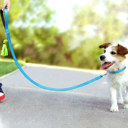 Laisse pour chien | Robuste - La Maison Ideale Des Chiens