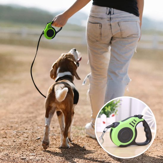 Laisse pour chien | Robuste - La Maison Ideale Des Chiens