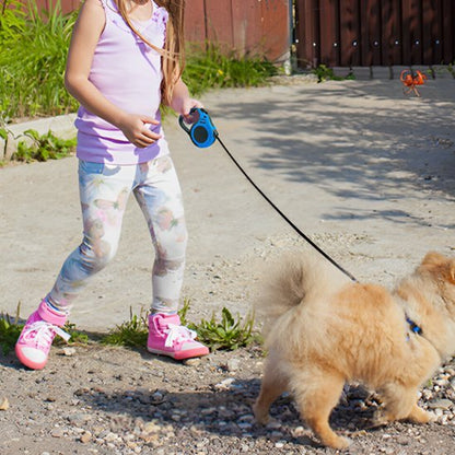 Laisse pour chien | Robuste - La Maison Ideale Des Chiens