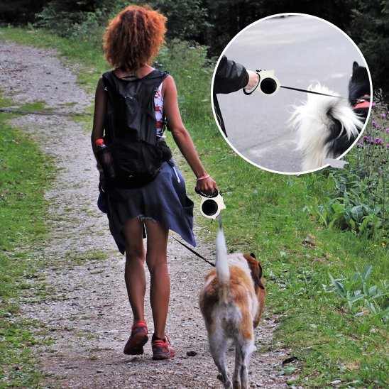 Laisse pour chien | Robuste & Ajustable - La Maison Ideale Des Chiens