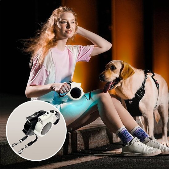 Laisse pour chien | Robuste & Ajustable - La Maison Ideale Des Chiens