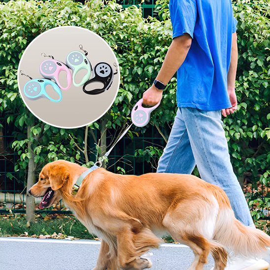 Laisse pour chien | SécuriConfort - La Maison Ideale Des Chiens