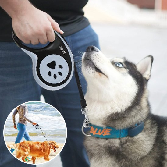 Laisse pour chien | SécuriConfort - La Maison Ideale Des Chiens