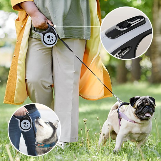 Laisse pour chien | SécuriConfort - La Maison Ideale Des Chiens