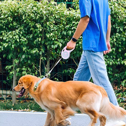 Laisse pour chien | SécuriConfort - La Maison Ideale Des Chiens
