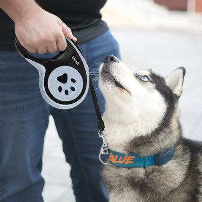 Laisse pour chien | SécuriConfort - La Maison Ideale Des Chiens