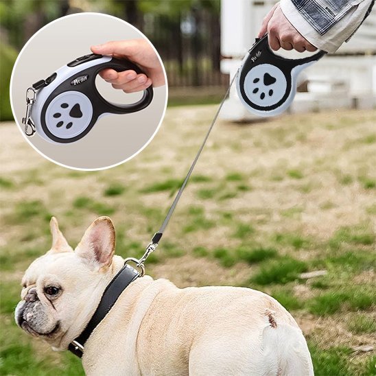 Laisse pour chien | SécuriConfort - La Maison Ideale Des Chiens