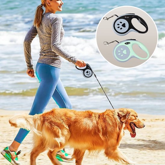 Laisse pour chien | SécuriConfort - La Maison Ideale Des Chiens