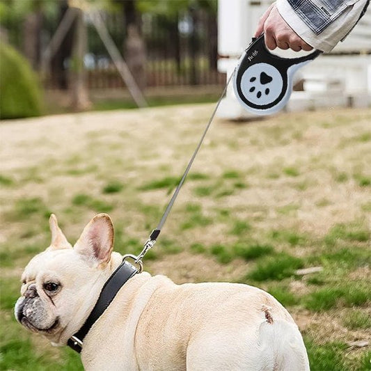 Laisse pour chien | SécuriConfort - La Maison Ideale Des Chiens