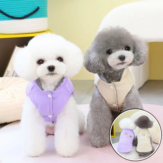 Manteau chien | Hiver Confort - La Maison Ideale Des Chiens
