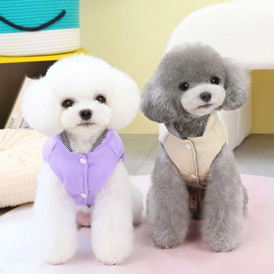Manteau chien | Hiver Confort - La Maison Ideale Des Chiens