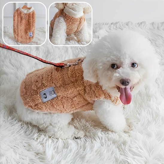 Manteau chien | Imperméable & Chaud - La Maison Ideale Des Chiens