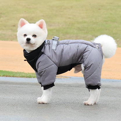 Manteau chien | Imperméable confort - La Maison Ideale Des Chiens