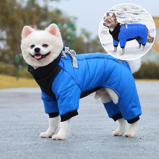 Manteau chien | Imperméable confort - La Maison Ideale Des Chiens