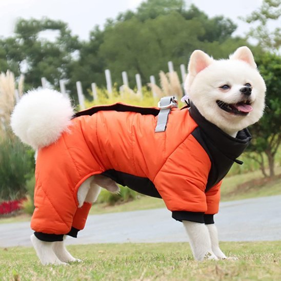 Manteau chien | Imperméable confort - La Maison Ideale Des Chiens