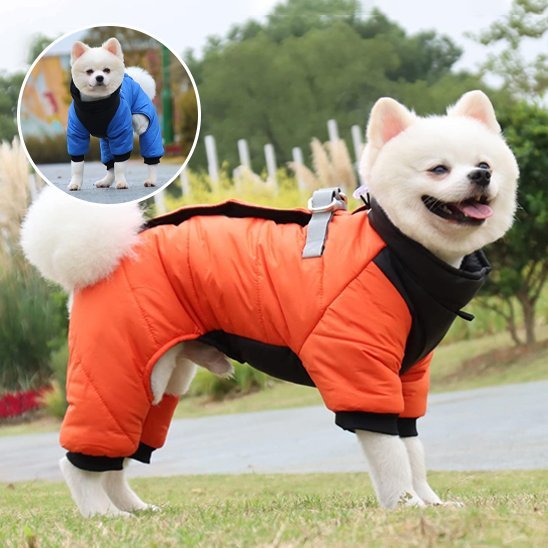 Manteau chien | Imperméable confort - La Maison Ideale Des Chiens