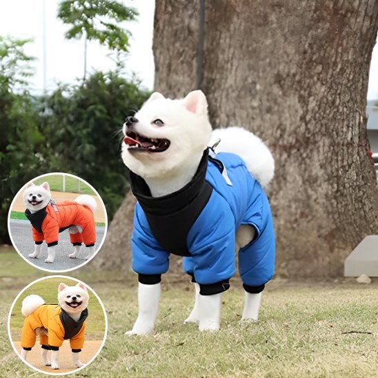 Manteau chien | Imperméable confort - La Maison Ideale Des Chiens