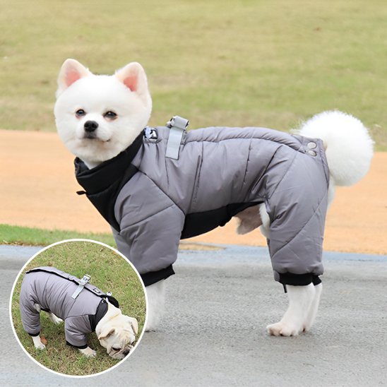 Manteau chien | Imperméable confort - La Maison Ideale Des Chiens