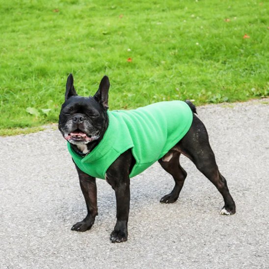 Manteau chien | Imperméable Hivernale - La Maison Ideale Des Chiens