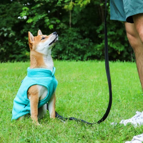 Manteau chien | Imperméable Hivernale - La Maison Ideale Des Chiens
