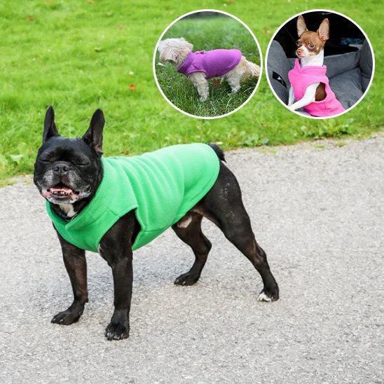 Manteau chien | Imperméable Hivernale - La Maison Ideale Des Chiens