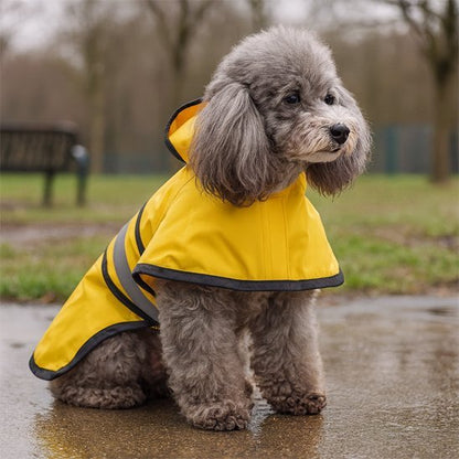 Manteau pour chien | Imperméable & Chaud - La Maison Ideale Des Chiens