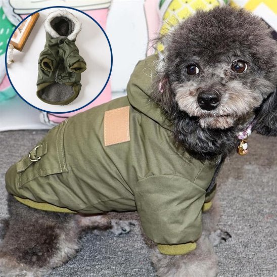Manteau pour chien | Imperméable Élégant - La Maison Ideale Des Chiens