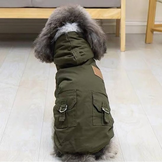 Manteau pour chien | Imperméable Élégant - La Maison Ideale Des Chiens