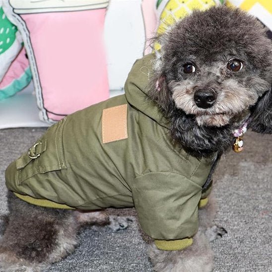 Manteau pour chien | Imperméable Élégant - La Maison Ideale Des Chiens