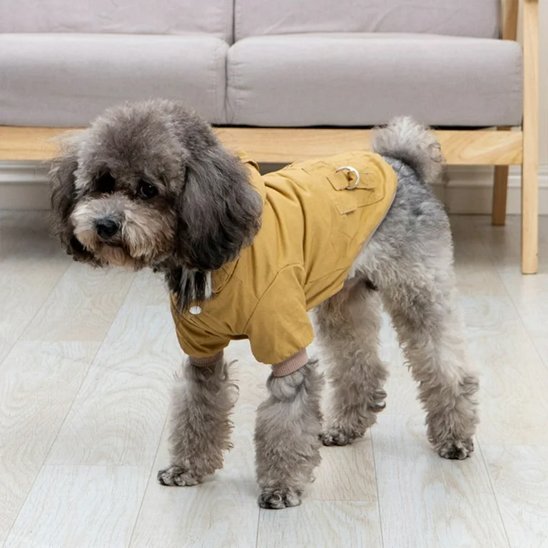 Manteau pour chien | Imperméable Élégant - La Maison Ideale Des Chiens