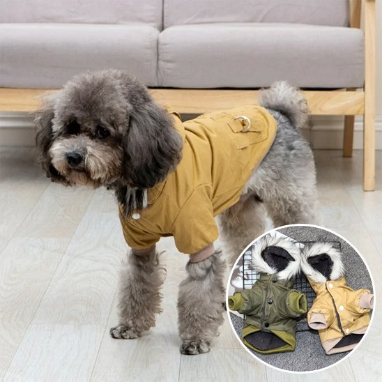 Manteau pour chien | Imperméable Élégant - La Maison Ideale Des Chiens