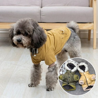Manteau pour chien | Imperméable Élégant - La Maison Ideale Des Chiens