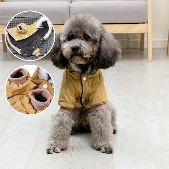 Manteau pour chien | Imperméable Élégant - La Maison Ideale Des Chiens