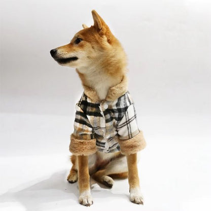 Manteau pour chien imperméable | WarmProtect - La Maison Ideale Des Chiens