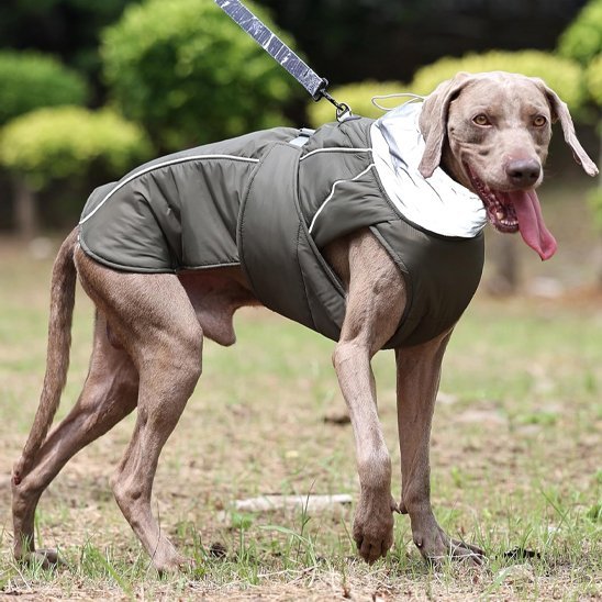 Manteau pour chien | PawProtect Imperméable - La Maison Ideale Des Chiens