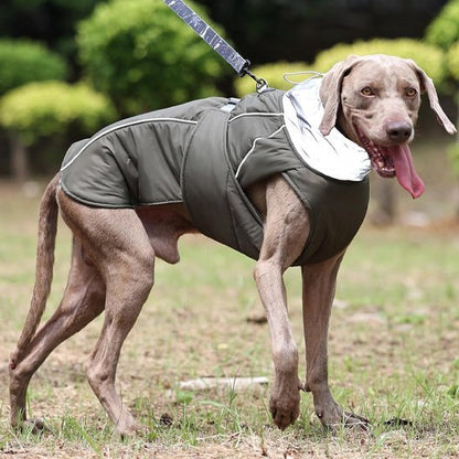 Manteau pour chien | PawProtect Imperméable - La Maison Ideale Des Chiens