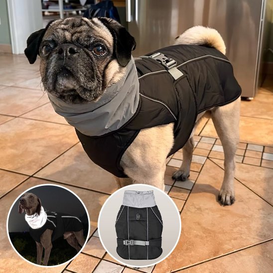 Manteau pour chien | PawProtect Imperméable - La Maison Ideale Des Chiens