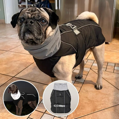 Manteau pour chien | PawProtect Imperméable - La Maison Ideale Des Chiens