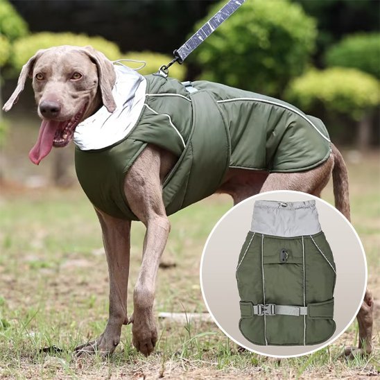 Manteau pour chien | PawProtect Imperméable - La Maison Ideale Des Chiens