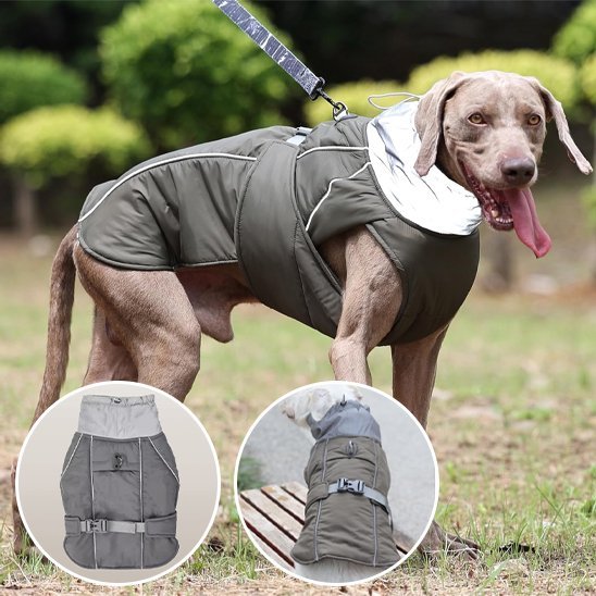 Manteau pour chien | PawProtect Imperméable - La Maison Ideale Des Chiens