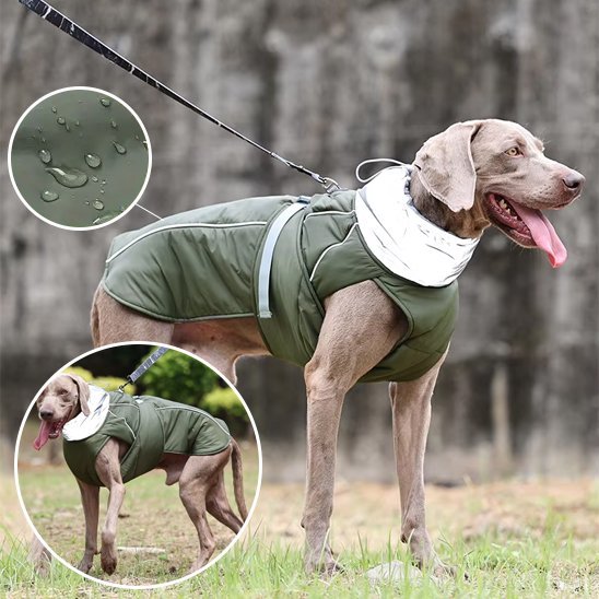 Manteau pour chien | PawProtect Imperméable - La Maison Ideale Des Chiens