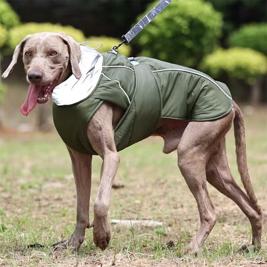 Manteau pour chien | PawProtect Imperméable - La Maison Ideale Des Chiens