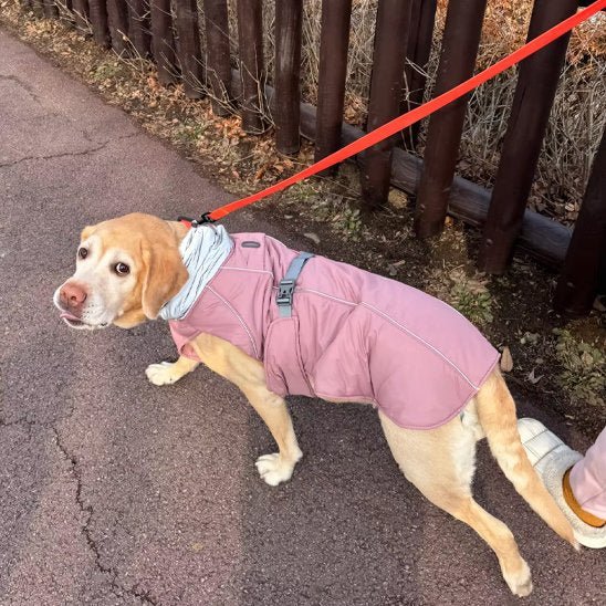Manteau pour chien | PawProtect Imperméable - La Maison Ideale Des Chiens