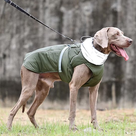 Manteau pour chien | PawProtect Imperméable - La Maison Ideale Des Chiens