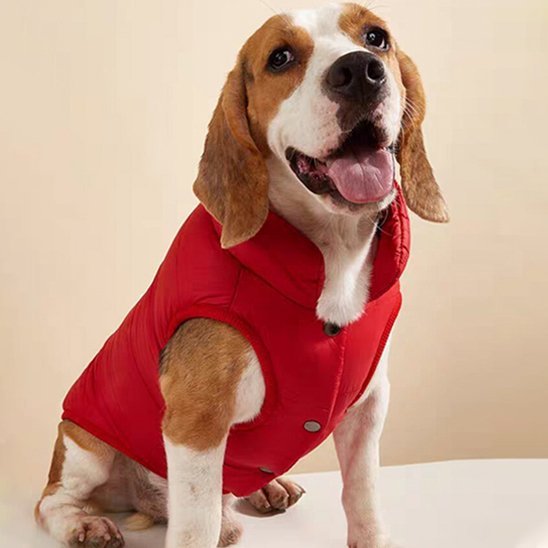 Manteau pour chien | Polaire Imperméable - La Maison Ideale Des Chiens
