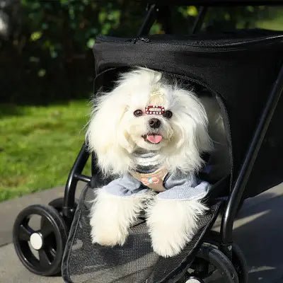 Poussette pour Chien - PetStroller™ - Noir - La Maison Ideale Des Chiens
